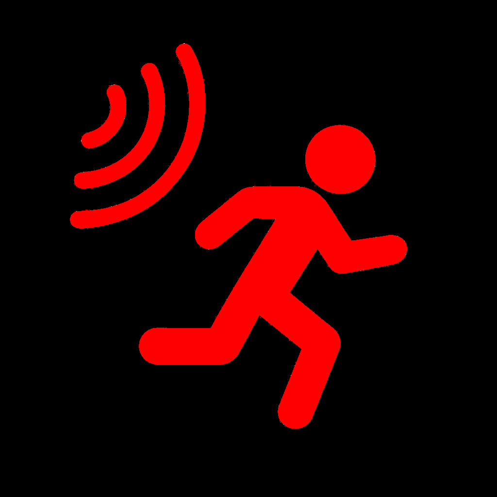 Systèmes de détection intrusion performants et sur mesure